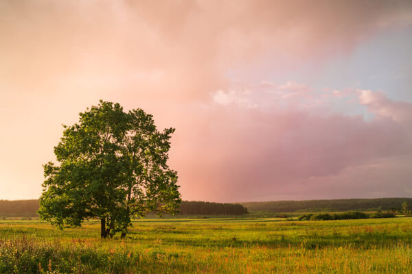 midland_texas_small